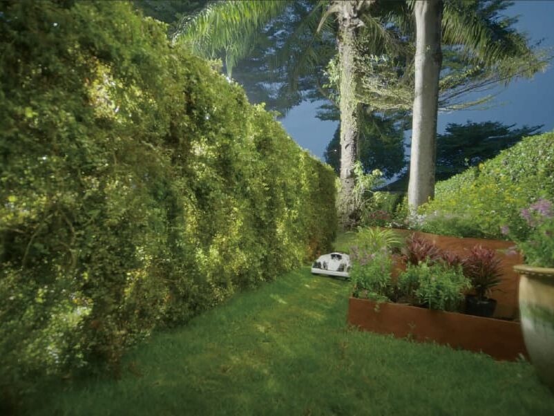 luba2-mowing